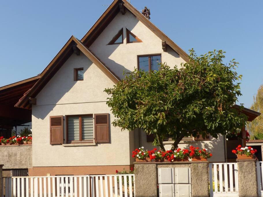 Gite Spacieux Au Coeur De L'Alsace 3*** Selestat Ngoại thất bức ảnh
