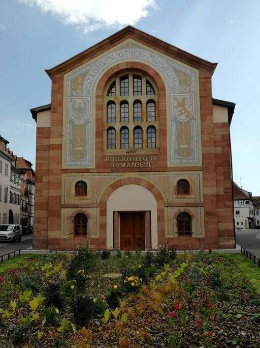 Gite Spacieux Au Coeur De L'Alsace 3*** Selestat Ngoại thất bức ảnh