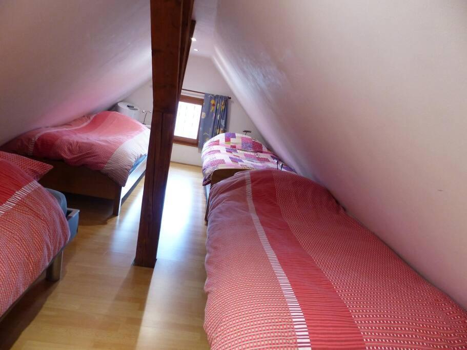 Gite Spacieux Au Coeur De L'Alsace 3*** Selestat Ngoại thất bức ảnh