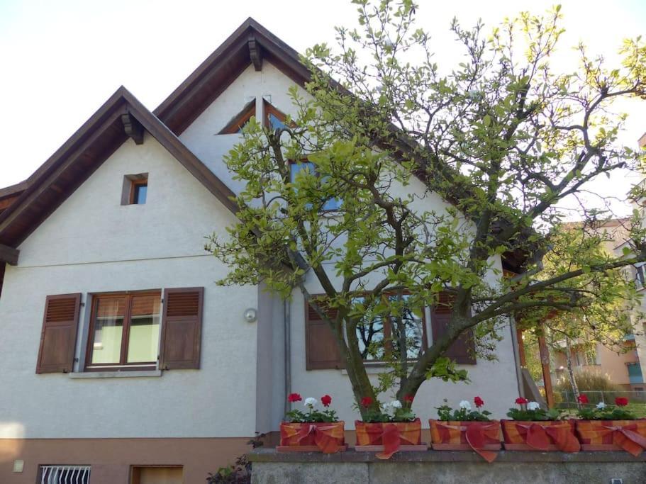 Gite Spacieux Au Coeur De L'Alsace 3*** Selestat Ngoại thất bức ảnh