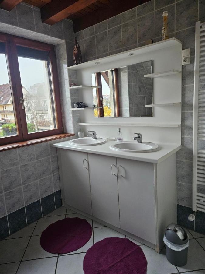 Gite Spacieux Au Coeur De L'Alsace 3*** Selestat Ngoại thất bức ảnh