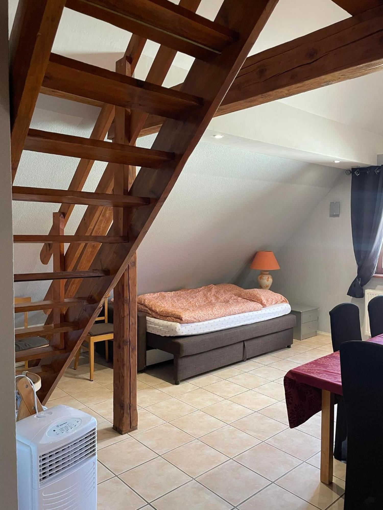 Gite Spacieux Au Coeur De L'Alsace 3*** Selestat Ngoại thất bức ảnh